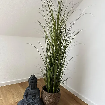 Lägenhet Gruene Oase Am Kuechwald